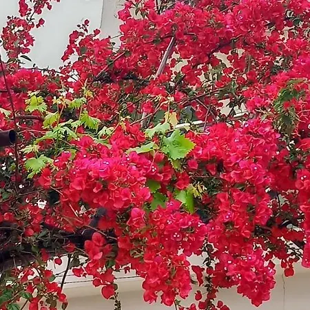 Stamatias Home, Fully Equipped 5 Minutes From The Sea * ハニア